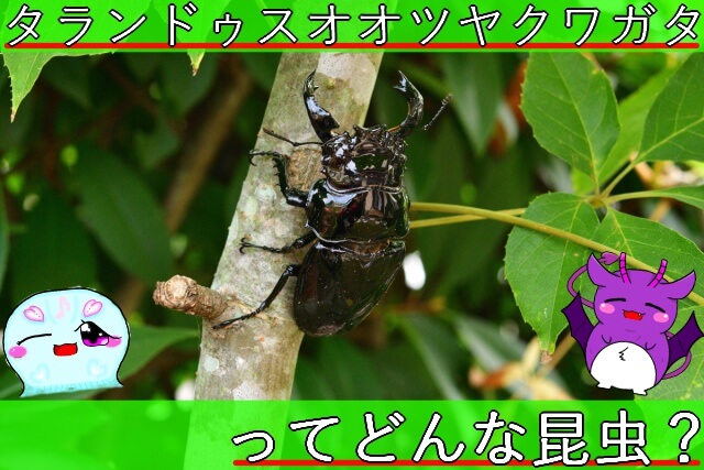 Thumbnail of post image 192